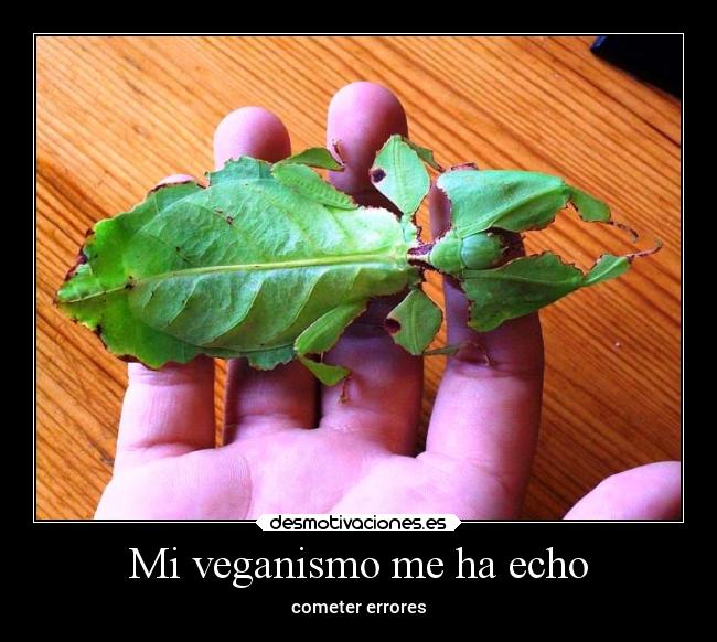 Mi veganismo me ha echo - 