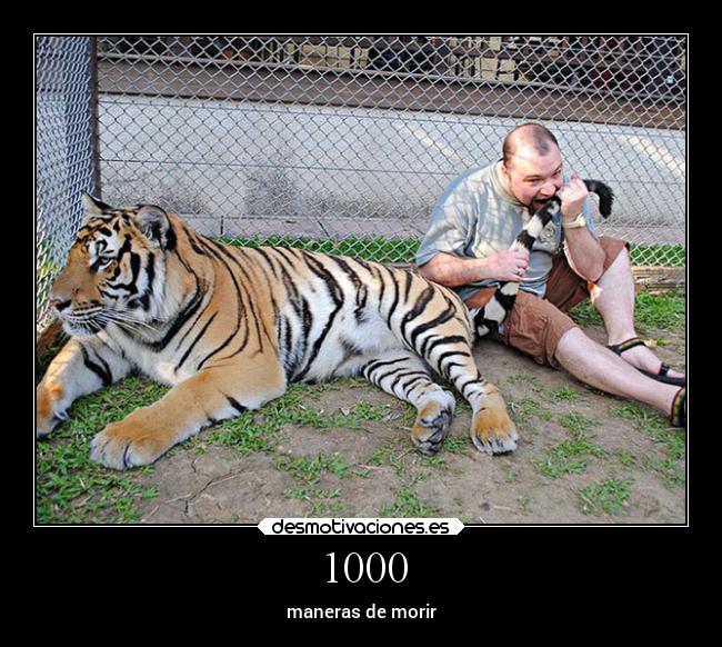 1000 - maneras de morir