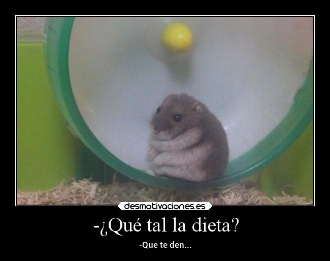 -¿Qué tal la dieta? - -Que te den...