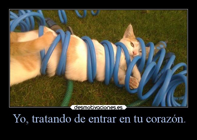 Yo, tratando de entrar en tu corazón. -