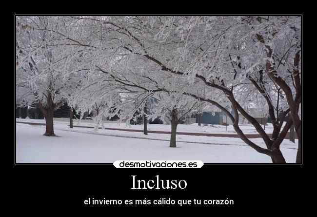 Incluso - 