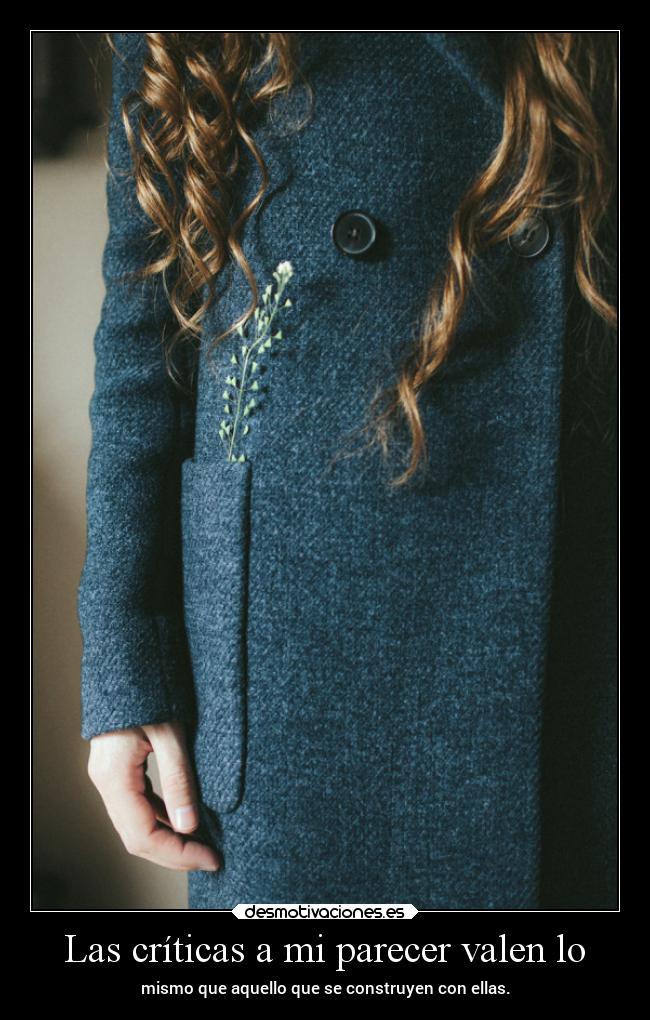 Las críticas a mi parecer valen lo - 