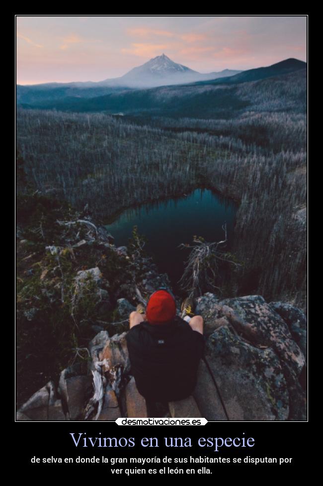 Vivimos en una especie - de selva en donde la gran mayoría de sus habitantes se disputan por
ver quien es el león en ella.