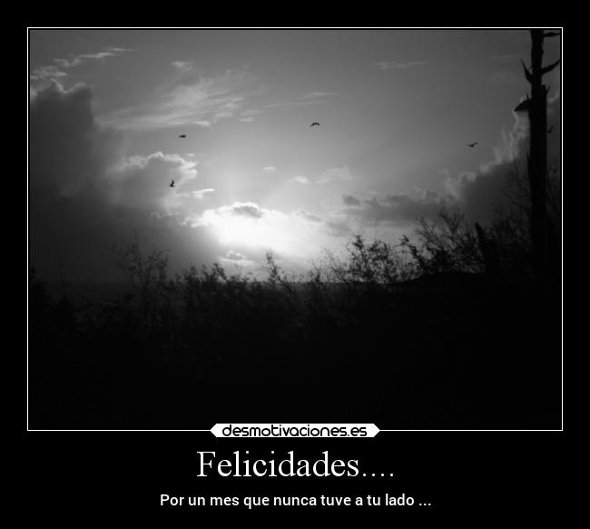 Felicidades.... - Por un mes que nunca tuve a tu lado ...