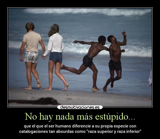 No hay nada más estúpido... - 