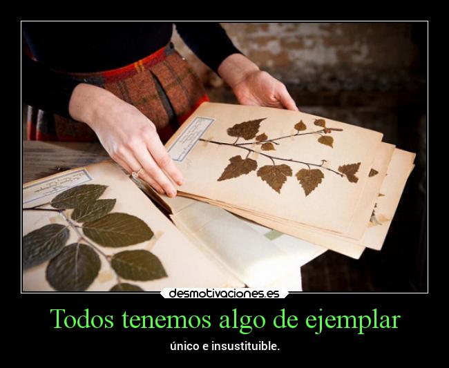 Todos tenemos algo de ejemplar - único e insustituible.