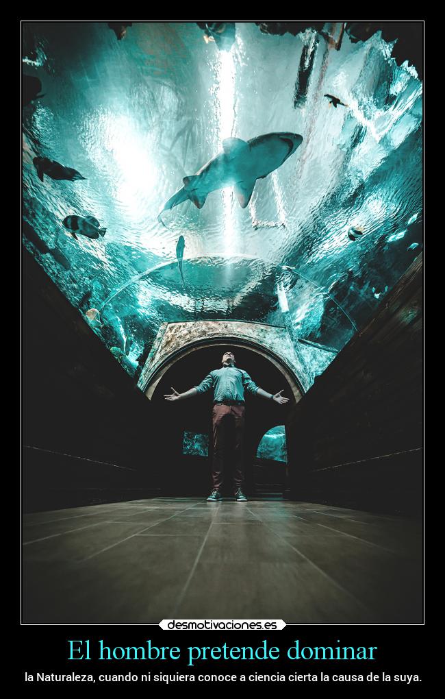 carteles desmotivaciones tengotantoscoloresqueesdificilquemelossaques multicolored shark desmotivaciones