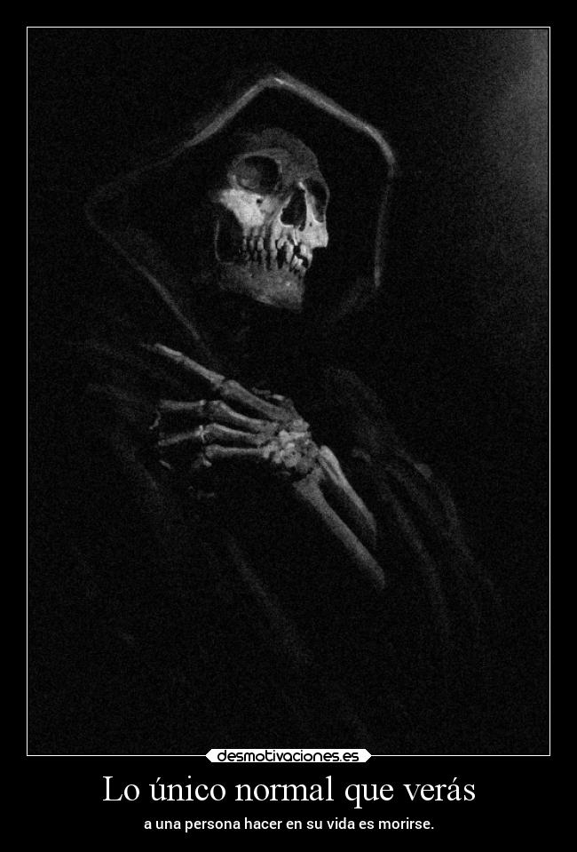 Lo único normal que verás - 
