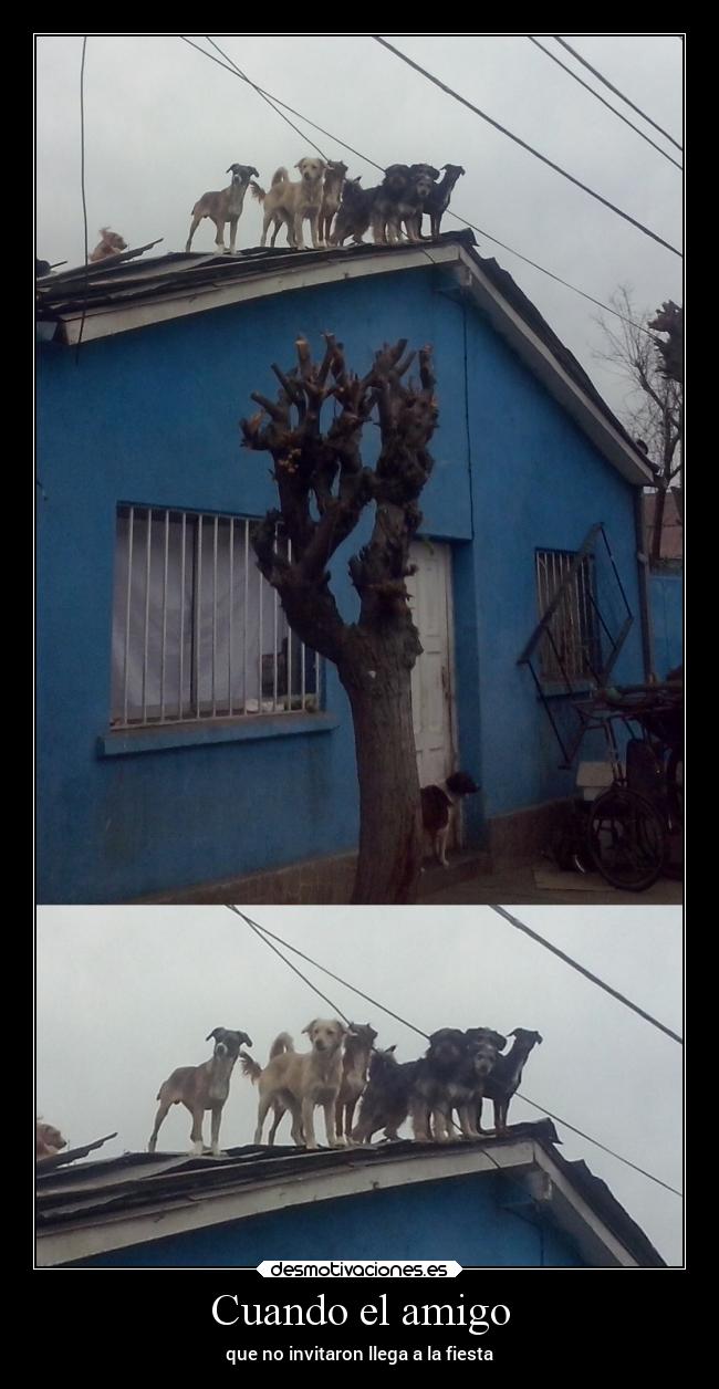 carteles enemigo desmotivaciones