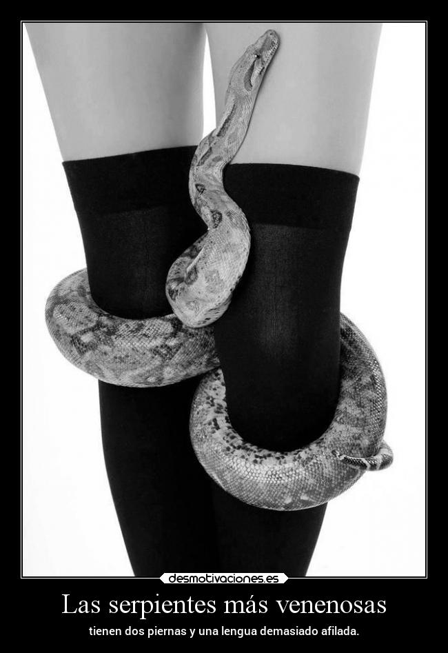 Las serpientes más venenosas - 