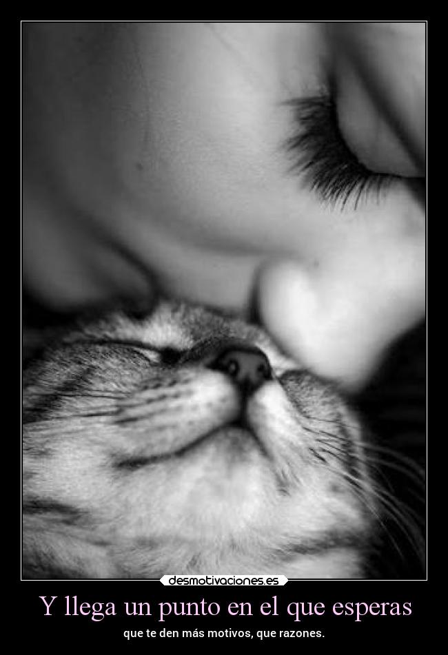 Y llega un punto en el que esperas - que te den más motivos, que razones.