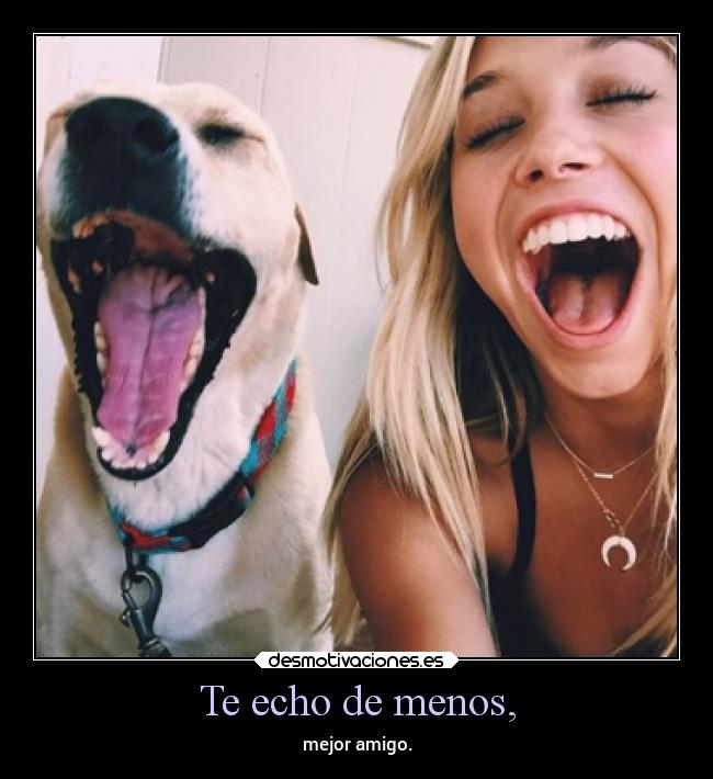 Te echo de menos, - mejor amigo.