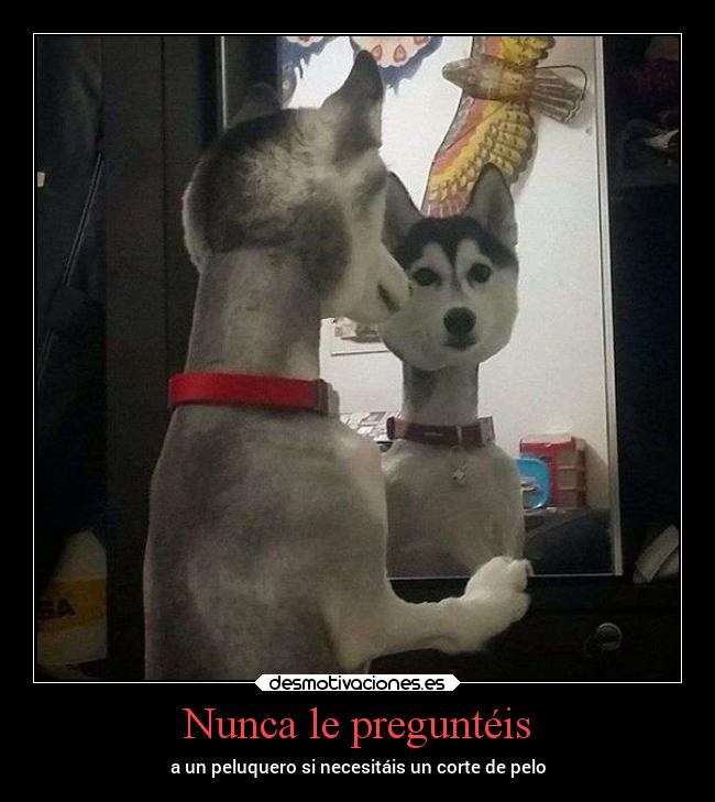 Nunca le preguntéis -