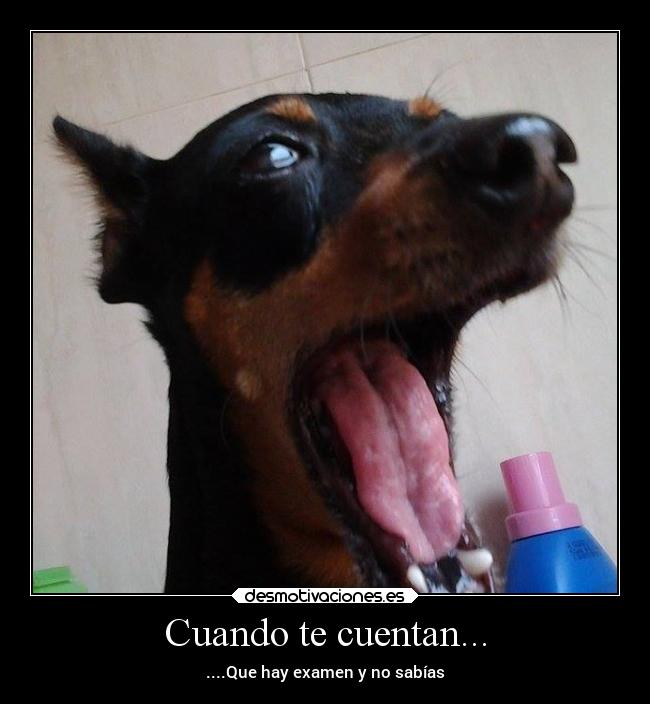 Cuando te cuentan... - 