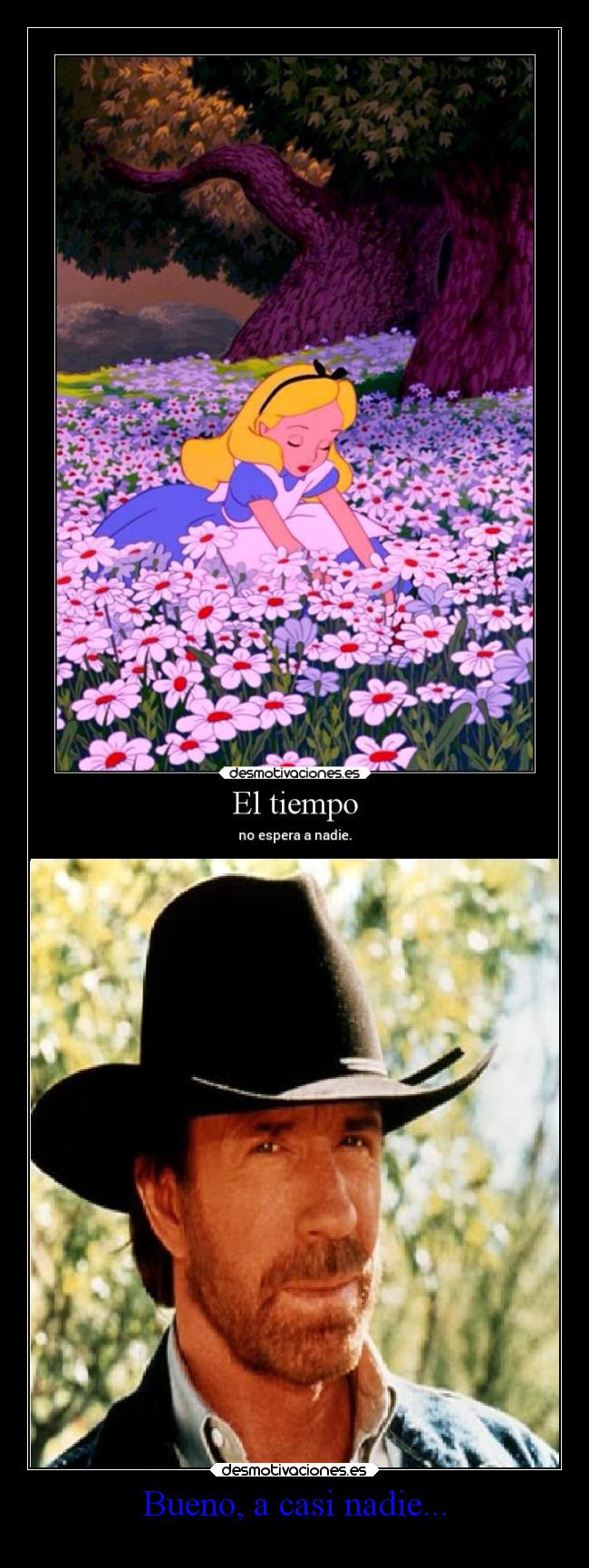 carteles humor chuck norris desmotivaciones