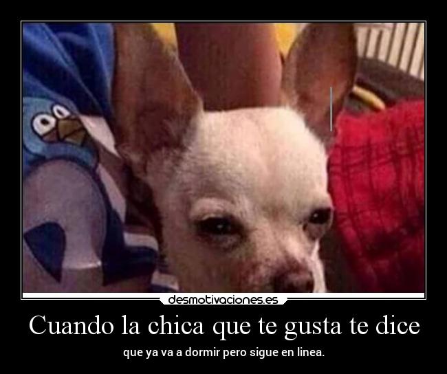 Cuando la chica que te gusta te dice - que ya va a dormir pero sigue en linea.