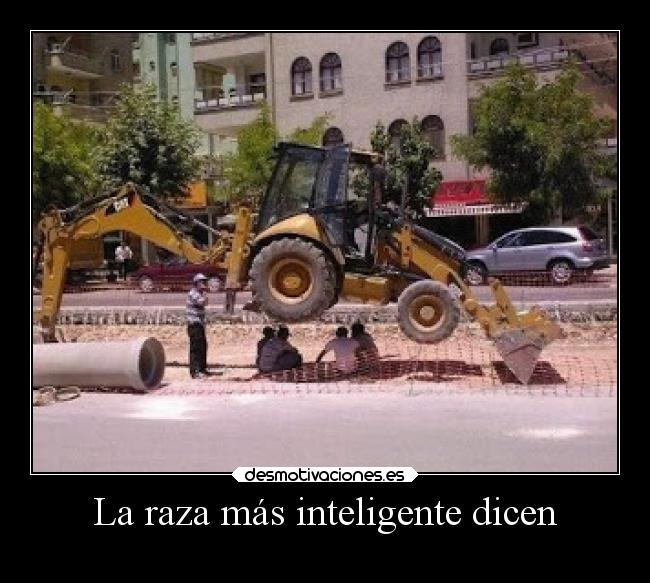 La raza más inteligente dicen -