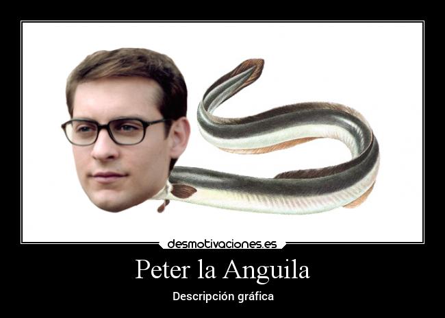 Peter la Anguila - Descripción gráfica