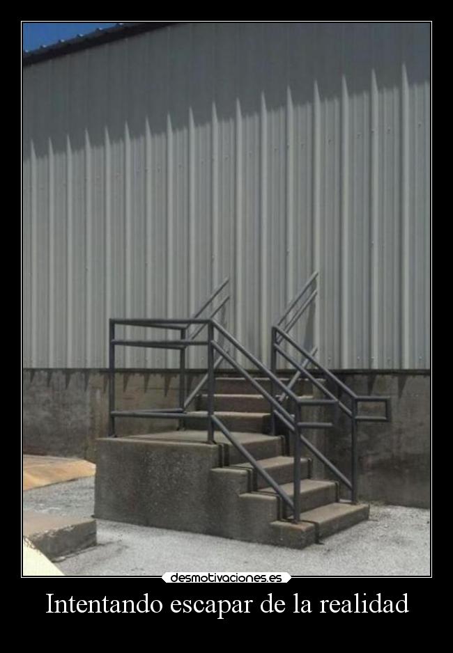 Intentando escapar de la realidad - 