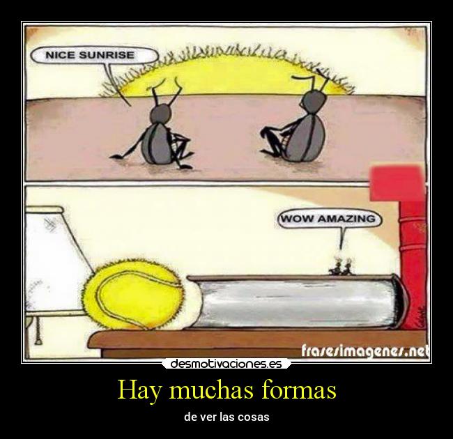 carteles humor pelota hormigas oloquesea esaa especies delos insectos quehay enlaimagen creo desmotivaciones