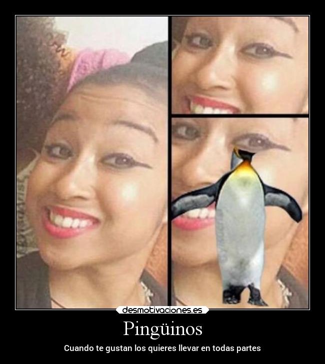 carteles humor pinguinos ojos desmotivaciones