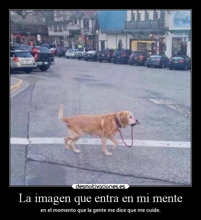 carteles humor rilacs desmotivaciones