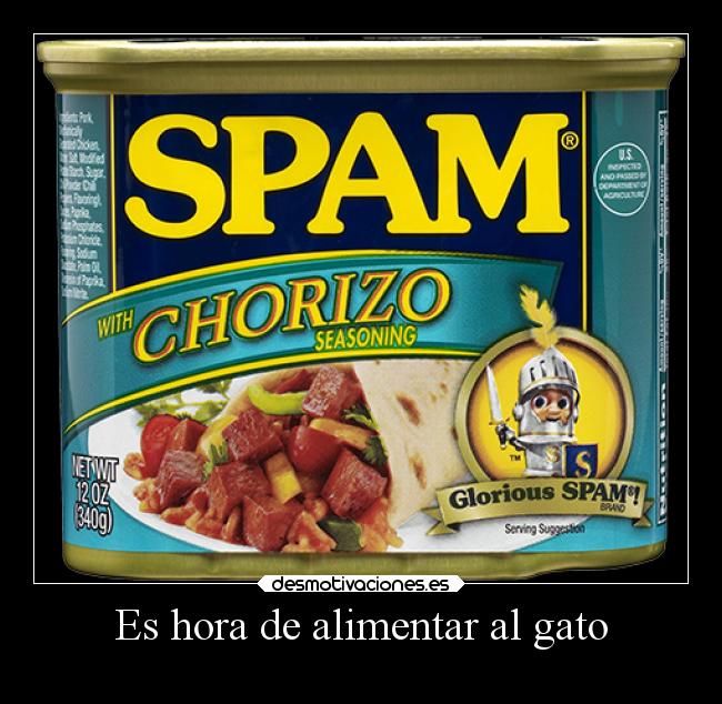 Es hora de alimentar al gato -
