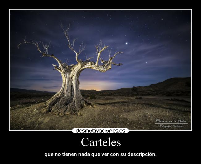 Carteles - 