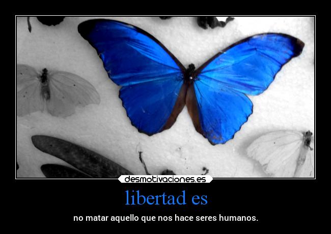 libertad es - no matar aquello que nos hace seres humanos.