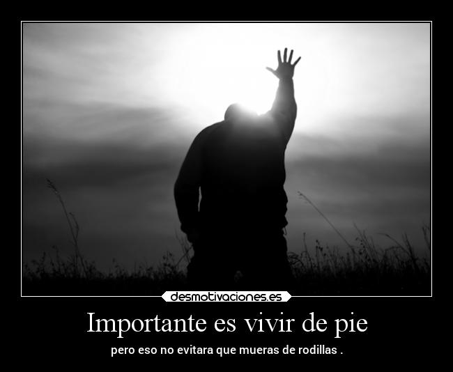 carteles muerte sentimientos rock risa desmotivaciones