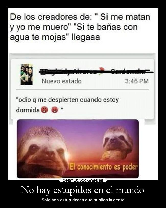 No hay estupidos en el mundo - 