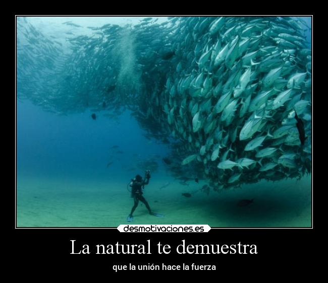 La natural te demuestra - 