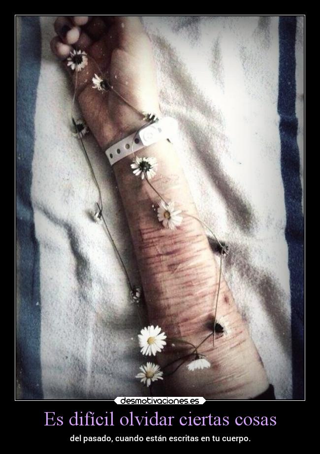 carteles olvidar tristeza dolor desamor recuerdos olvidar pasado cortes desmotivaciones