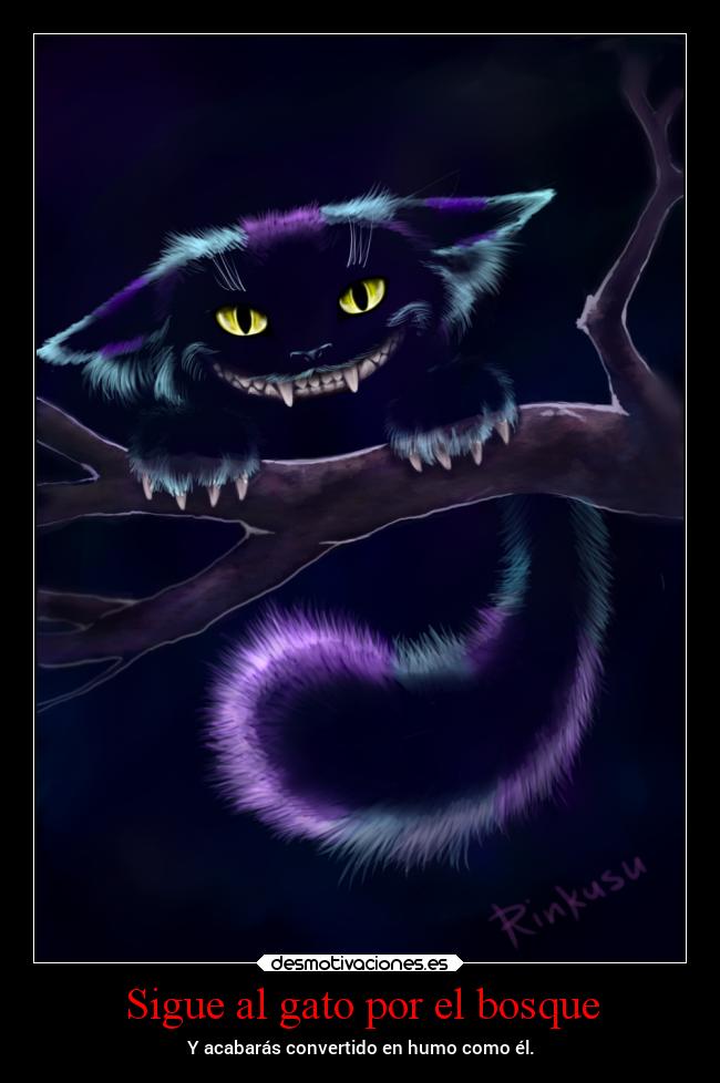 Sigue al gato por el bosque - Y acabarás convertido en humo como él.