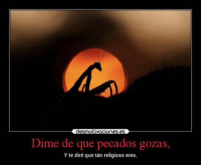Dime de que pecados gozas, - Y te diré que tán religioso eres.