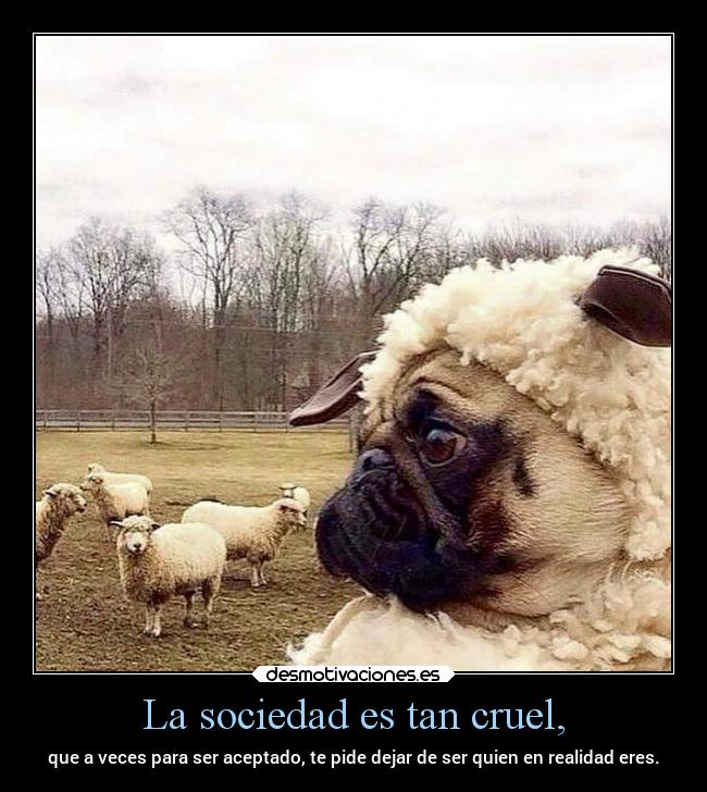 La sociedad es tan cruel, - que a veces para ser aceptado, te pide dejar de ser quien en realidad eres.