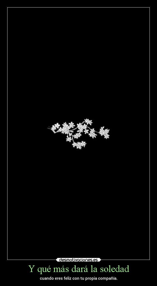 carteles soledad soledad mejorsoloquemalacompanado thereasonwhyismile desmotivaciones