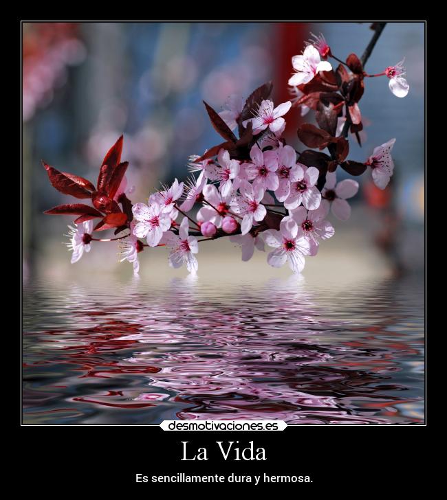 La Vida - Es sencillamente dura y hermosa.