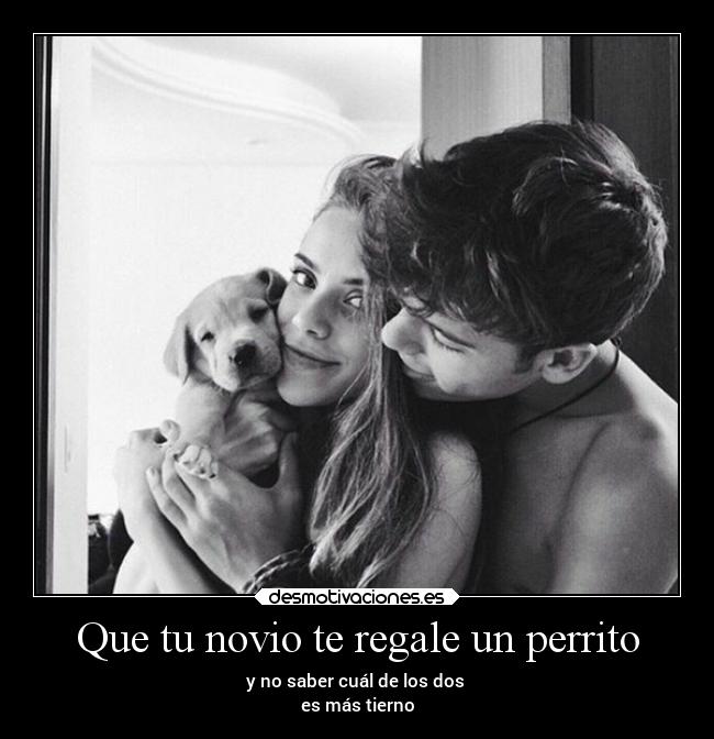 carteles vida amor desmotivaciones