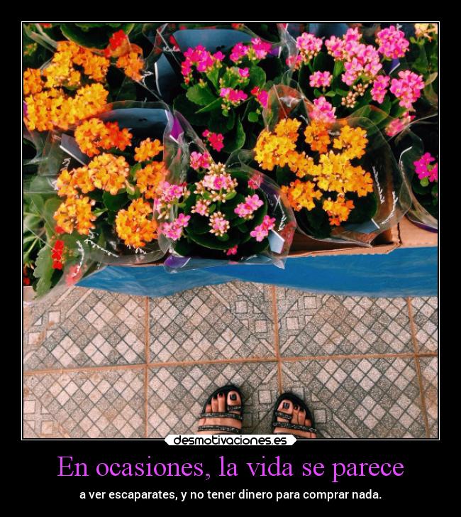 En ocasiones, la vida se parece -
