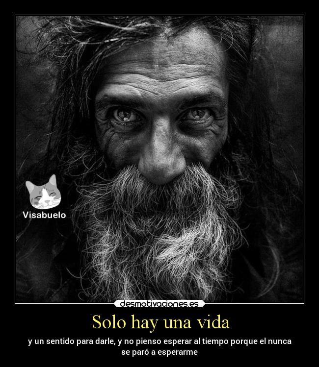 carteles vida frases viejogatoxd desmotivaciones