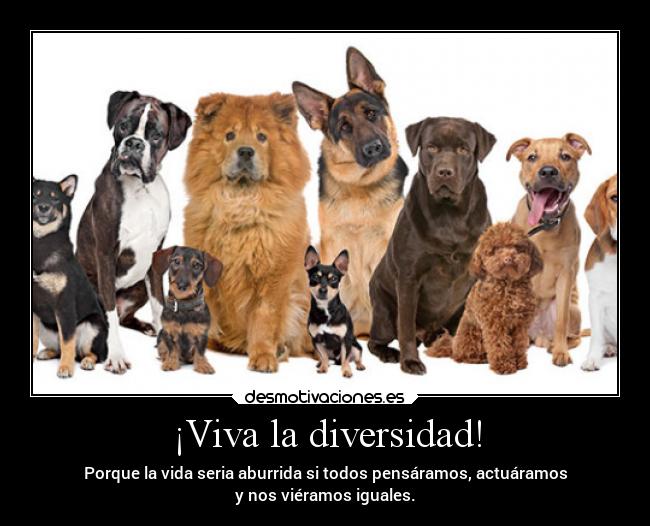 ¡Viva la diversidad! - Porque la vida seria aburrida si todos pensáramos, actuáramos
y nos viéramos iguales.