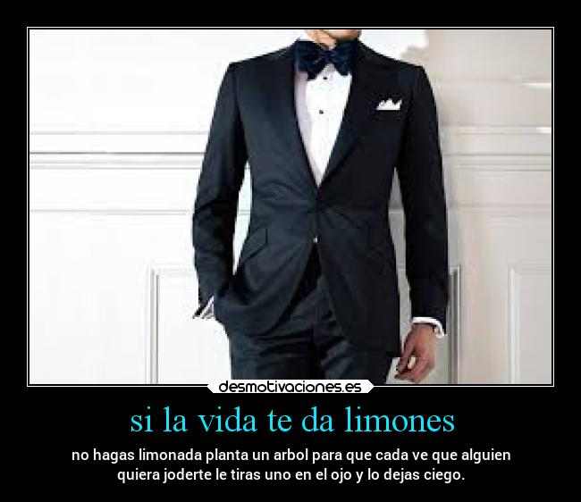 carteles vida humor desmotivaciones