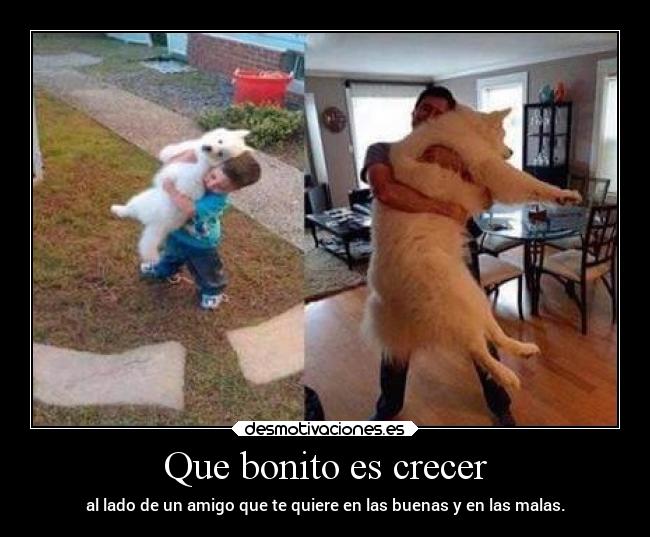Que bonito es crecer - 
