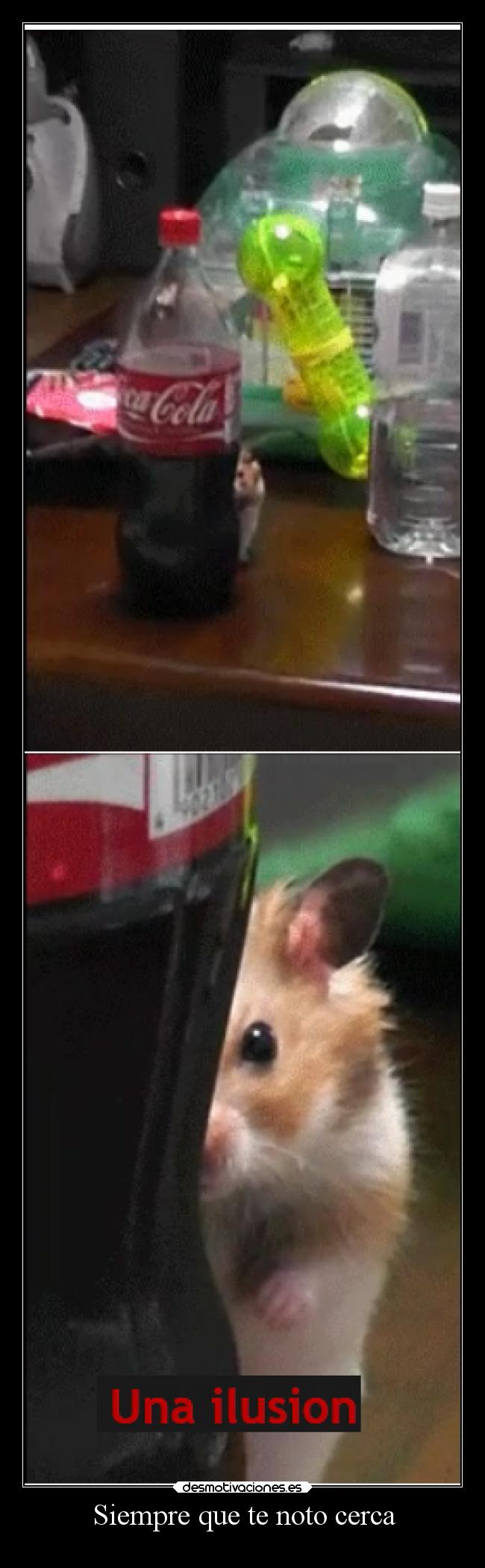 Siempre que te noto cerca - 