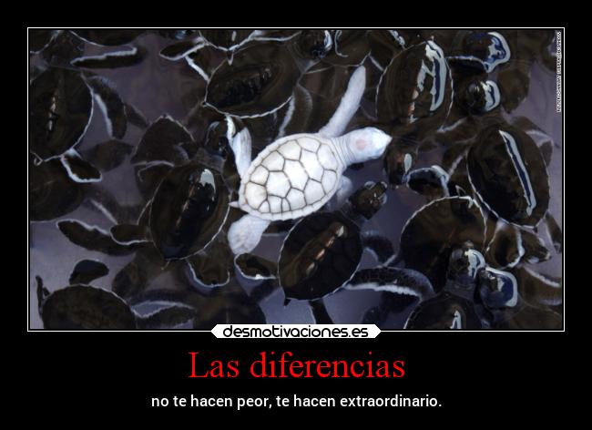Las diferencias -