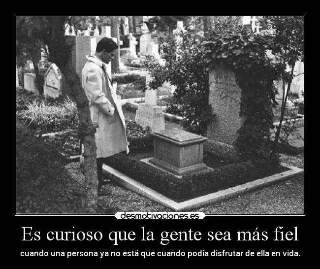 Es curioso que la gente sea más fiel -