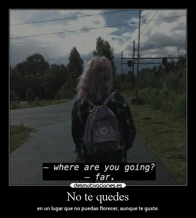 No te quedes - en un lugar que no puedas florecer, aunque te guste.