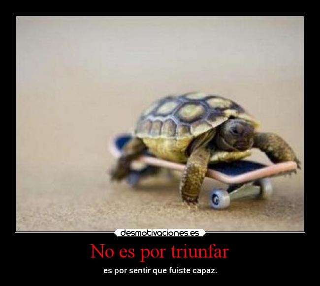 No es por triunfar - 