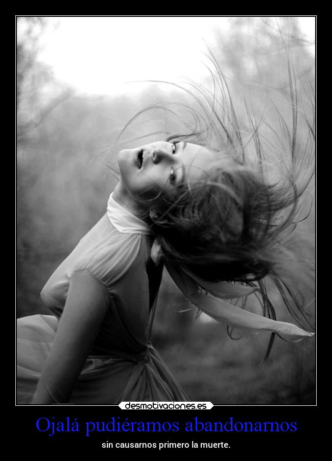 carteles vida odio deseos muerte abandono ojala desmotivaciones